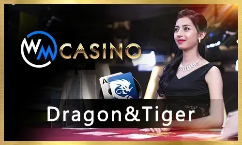 Poker Icon